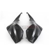 Carbon Tank Side Panels - BMW S 1000RR 2019 / 2023