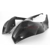 Paneles laterales del tanque de carbono - BMW S 1000RR 2019 / 2023