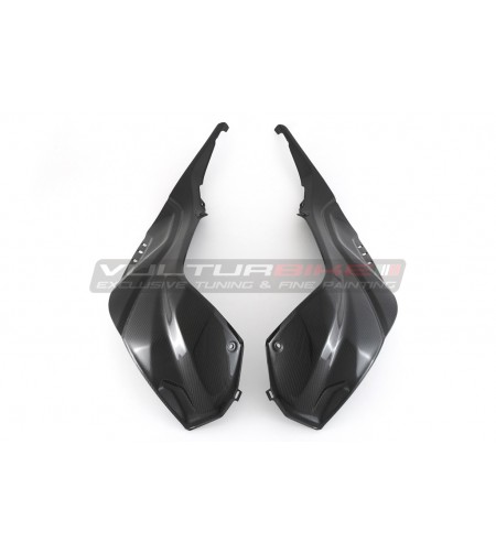 Carbon Tank Side Panels - BMW S 1000RR 2019 / 2023