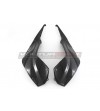 Carbon Tank Side Panels - BMW S 1000RR 2019 / 2023