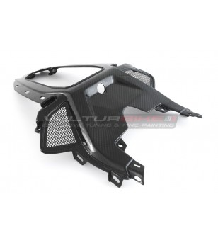 Cola de carretera de carbono - BMW S 1000RR 2019 / 2021