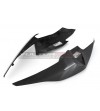 Two-seater road carbon tail - BMW S 1000RR 2019 / 2021