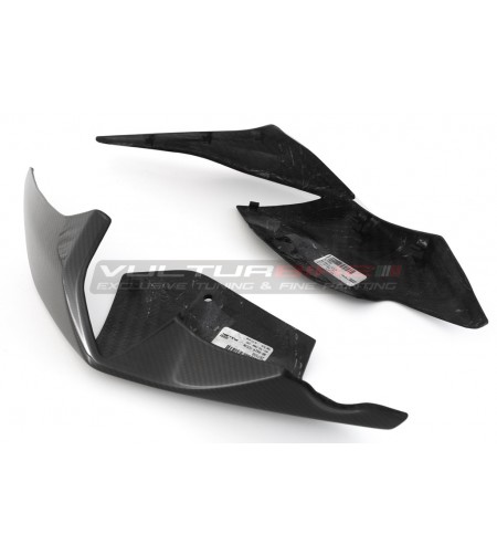 Two-seater road carbon tail - BMW S 1000RR 2019 / 2021