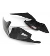 Zweisitzer Rennrad Carbon Heck - BMW S 1000RR 2019 / 2021