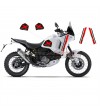 Decalcomanie personalizzate per serbatoio e fianchetti- Ducati DesertX 