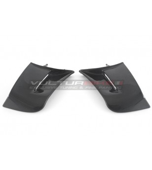 Paire d’ailes en carbone pour DUCATI PANIGALE V4 2022/23 