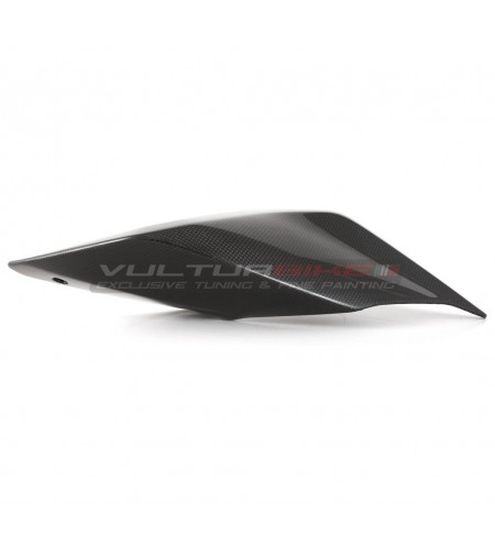 Carbon tail - Ducati Panigale V2 - V4 Streetfighter V2-V4