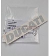 Decalcomania originale DUCATI - mm.160 x 29 (Argento) 