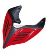 Carbon tail special design - Ducati Panigale V4 / V4S / V4R / V2 / Streetfighter V4 / V2