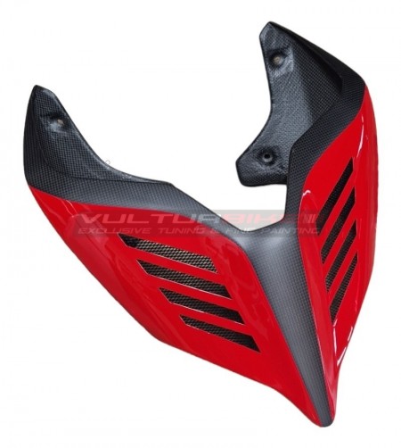 Carbon Heck Sonderausführung - Ducati Panigale V4 / V4S / V4R / V2 / Streetfighter V4 / V2
