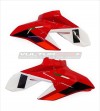 Custom livery compatible with Ducati Streetfighter V4 2020 / 2022