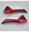 Gehäuseabdeckung aus Kohlefaser mit neuem Design - Ducati Multistrada V4 Pikes Peak 
