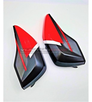 Custom Carbon Koffer Abdeckung - Ducati Multistrada V4 / Pikes Peak / Rally