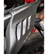 Queue Vulturbike carbone personnalisée - Ducati Panigale / Streetfighter 