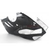 Carbon Slipon Wanne / Vollauspuff - Ducati Panigale V4 / V4S
