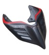 Nuova coda in carbonio personalizzata design SP - Ducati Panigale / Streetfighter