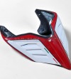 Carbon tail design exlusive Vulturbike for Ducati Panigale / Streetfighter
