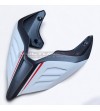 Neuer Custom Carbon Tail Arctic White Silk - Ducati Panigale V2