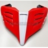 Queue en carbone peinte avec design Panigale V4S Corse 2019