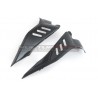 Carbon tank side panels - Ducati Diavel V4 / V4S