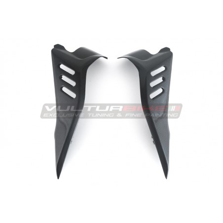 Paneles laterales del tanque de carbono - Ducati Diavel V4 / V4S