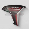 Carbon side panels - Ducati Multistrada V4 Rally