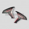 Carbon side panels - Ducati Multistrada V4 Rally