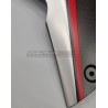 Pannelli laterali in carbonio - Ducati Multistrada V4 Rally 