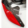 GP Design Carbonheck für Ducati Panigale / Streetfighter