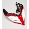 Codone in carbonio GP design per Ducati Panigale / Streetfighter