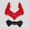 Original painted track fairings kit - Ducati Panigale V4