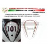 Adesivo personalizzabile per plexi in carbonio - Ducati Multistrada 2015/17