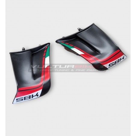 Ali in carbonio personalizzate per DUCATI PANIGALE V4 2022 /2023