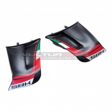 Ali in carbonio personalizzate per DUCATI PANIGALE V4 2022 /2023