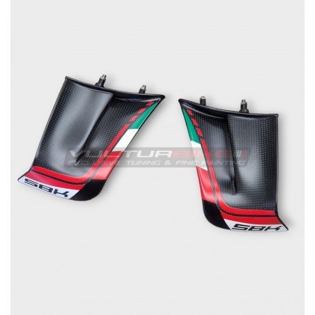 Ali in carbonio personalizzate per DUCATI PANIGALE V4 2022 /2023