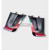 Alas de carbono personalizadas para DUCATI PANIGALE V4 2022 /2023