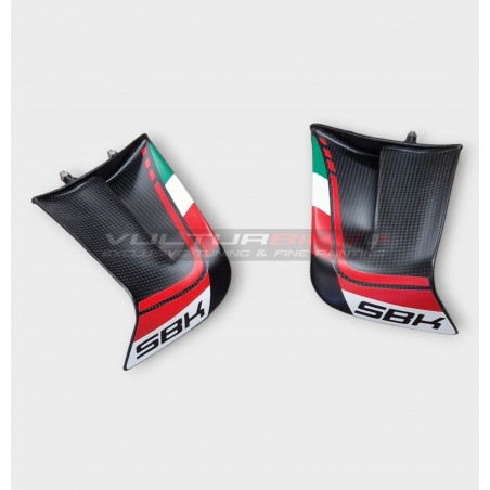 Ailes Carbone Custom pour DUCATI PANIGALE V4 2022 /2023