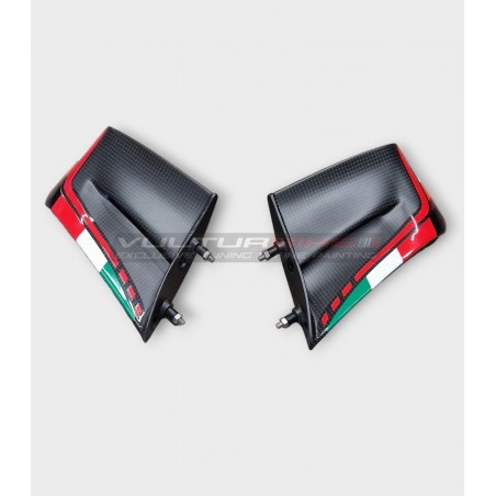 Custom Carbon Wings für DUCATI PANIGALE V4R 2023