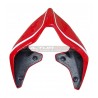 Cola de carbono personalizada - Ducati Panigale V4R 2019