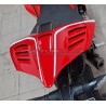 Custom Carbon Heck - Ducati Panigale V4R 2019