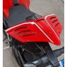 Coda in carbonio personalizzata - Ducati Panigale V4R 2019