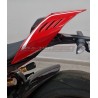 Coda in carbonio personalizzata - Ducati Panigale V4R 2019