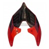 Custom Carbon Heck - Ducati Panigale V4R 2023