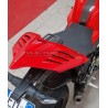 Coda in carbonio personalizzata - Ducati Panigale V4R 2023