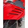Cola de carbono personalizada - Ducati Panigale V4R 2023