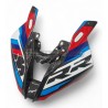 Bulle carbone personnalisé - BMW S 1000RR 2023