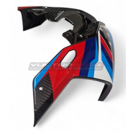 Custom carbon windshield - BMW S 1000RR 2023