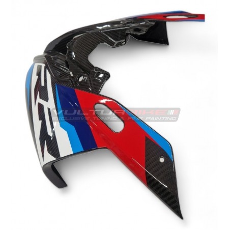 Custom Carbon Windschild - BMW S 1000RR 2023