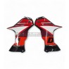 Custom Carbon Dressing Set - Ducati DesertX