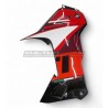Custom Carbon Dressing Set - Ducati DesertX